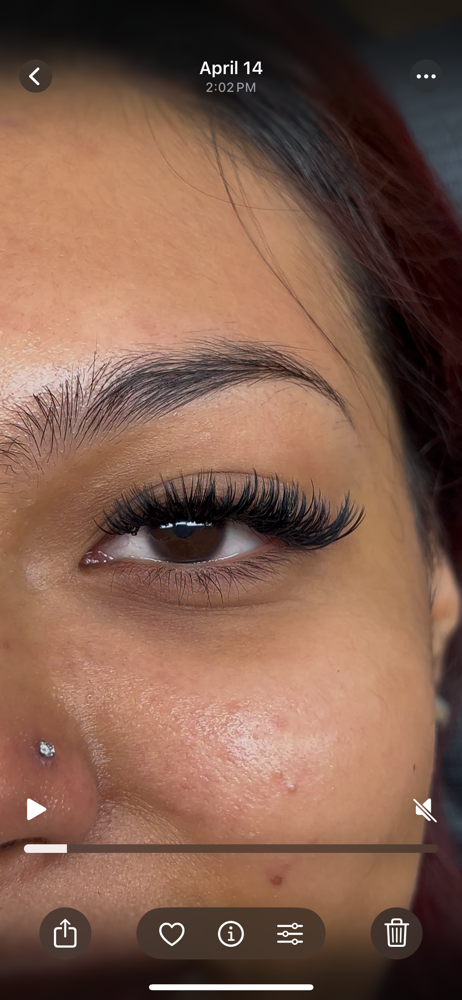 Wet Lashes Full Set