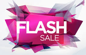 $100 Flash Sale