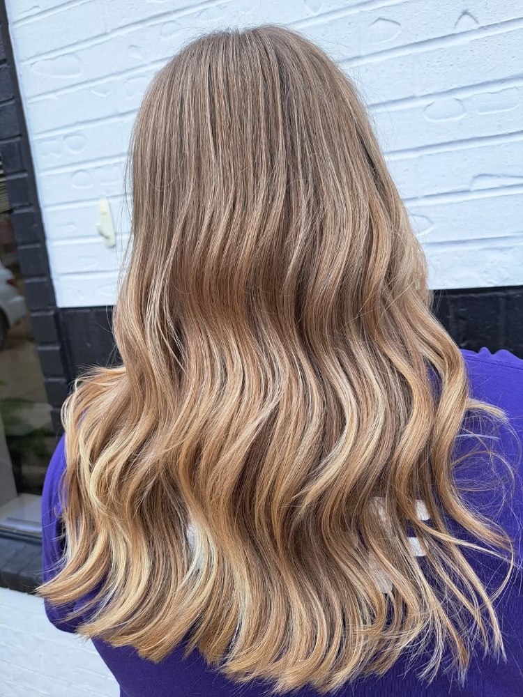 Partial Highlights With Cut/Style