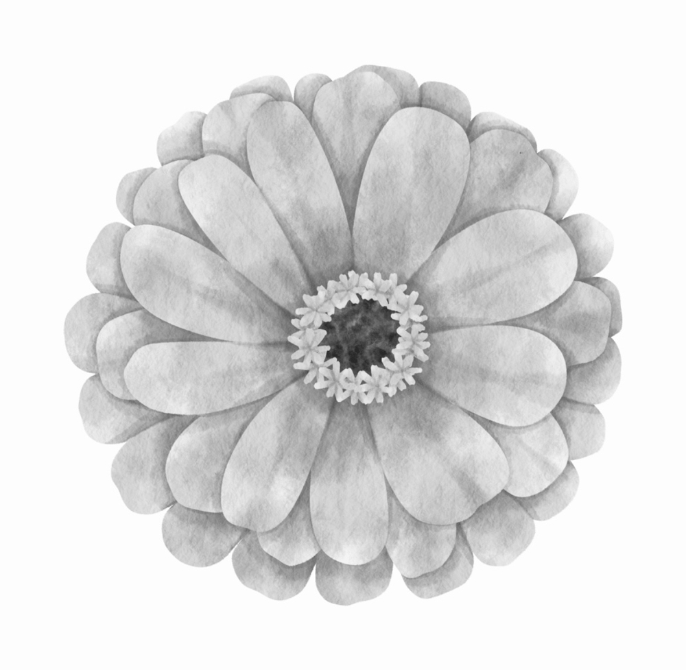 Paraffin Hand Treatment