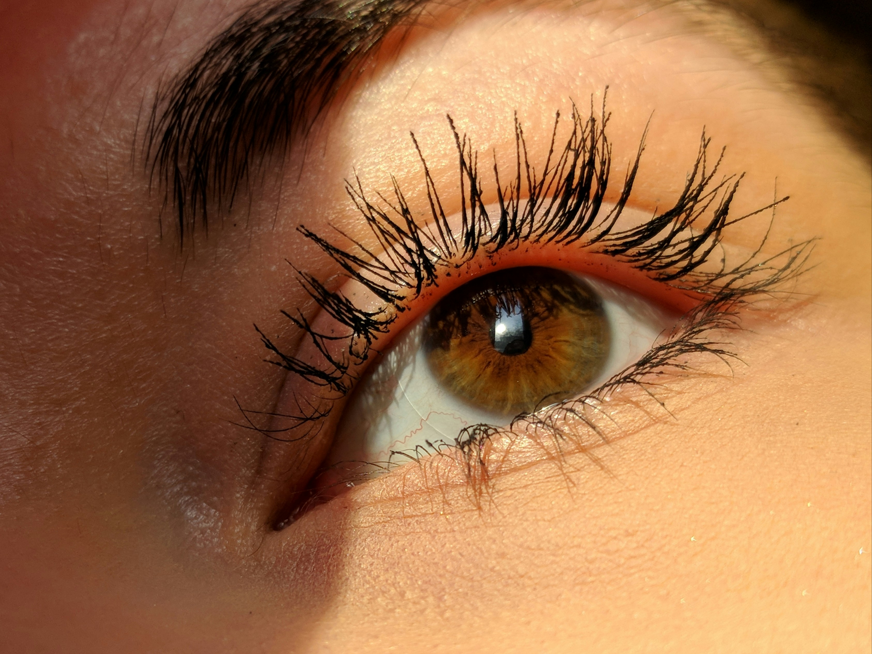 Lash Lift & Tint