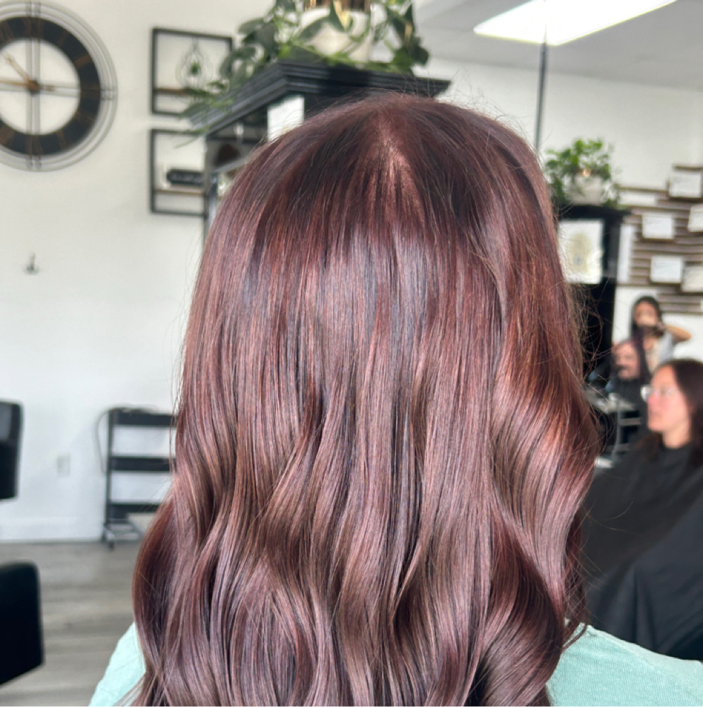Root Touch Up at IVORY WILD in Lafayette, IN