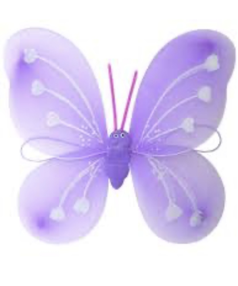 Kids Fairy Princess For A Day