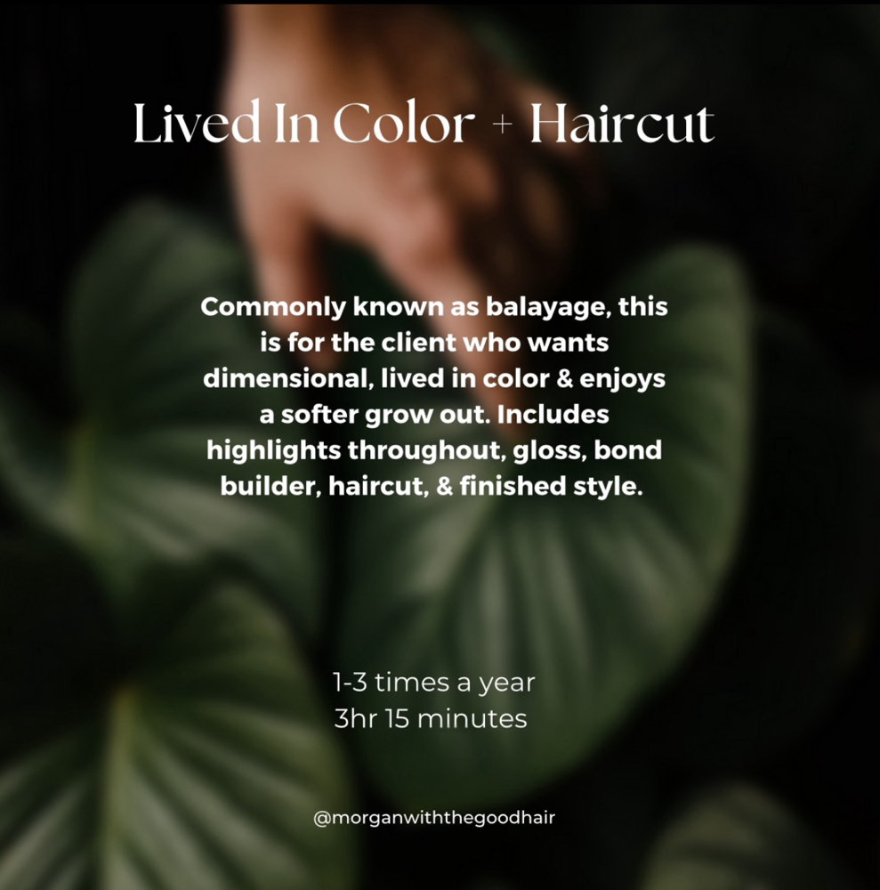 Lived In Color + Haircut