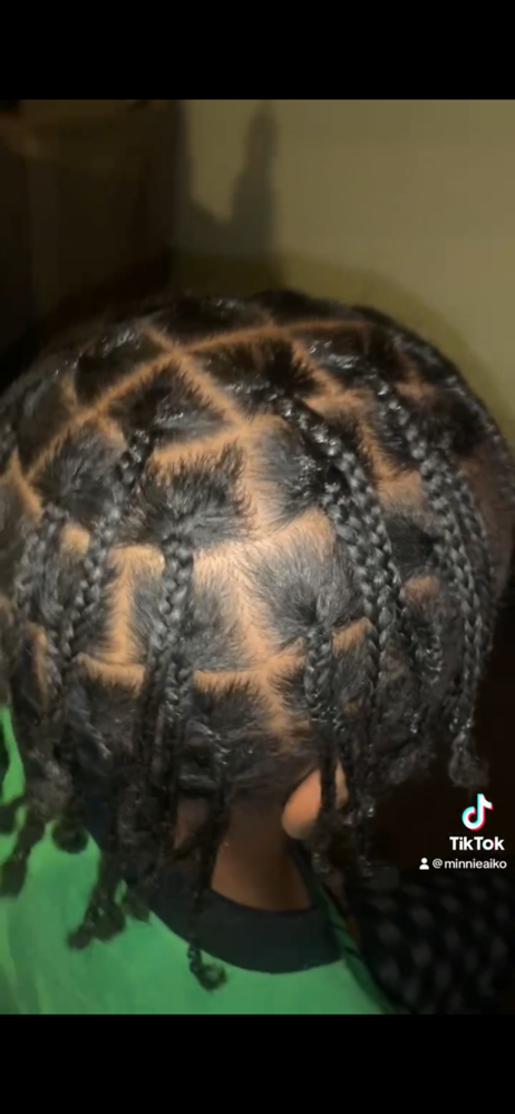 Natural Braids at Cierra Donahue in Waterford, MI