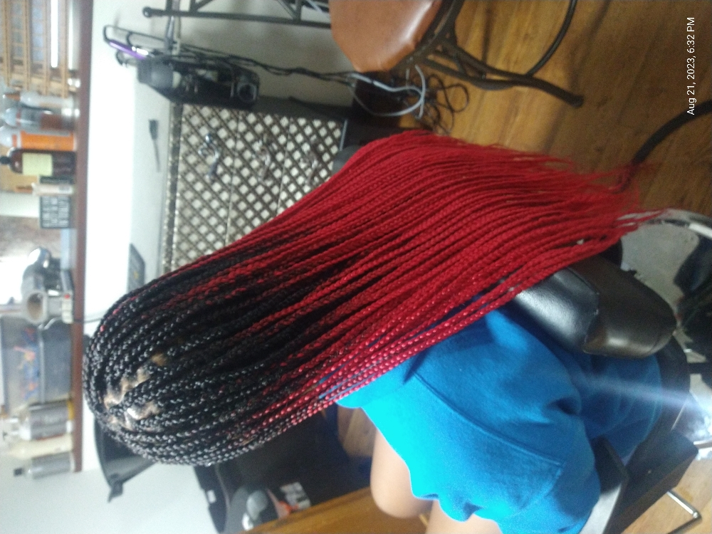 Single Braids or Twist (Medium)