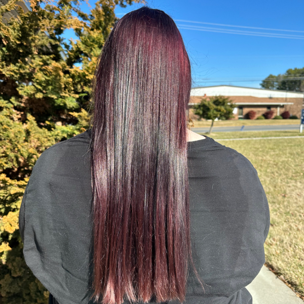 All Over Color (One Color) at Skye’s the Limit Hair in Asheboro, NC