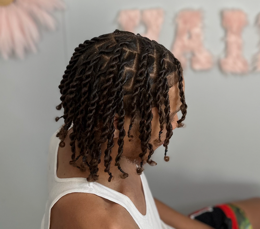 Two Strand Twists/Plaits