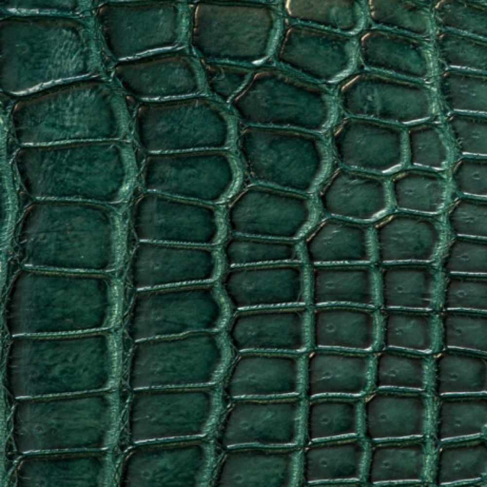 Deep Conditioner Treatment (Add On) at Marissa Hodge in Pensacola, FL