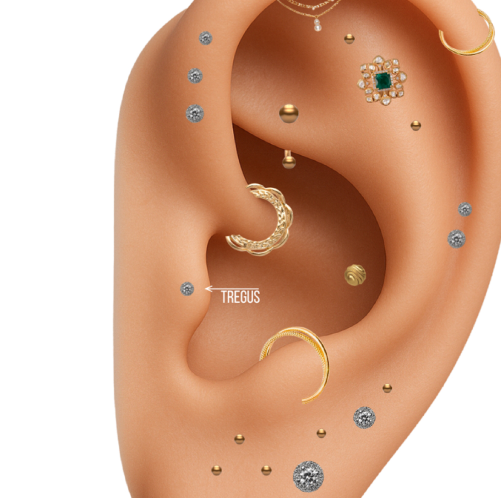 Tragus Piercings at Grand Junction Piercing Studio by MiLK & ViViD in Grand Junction, CO