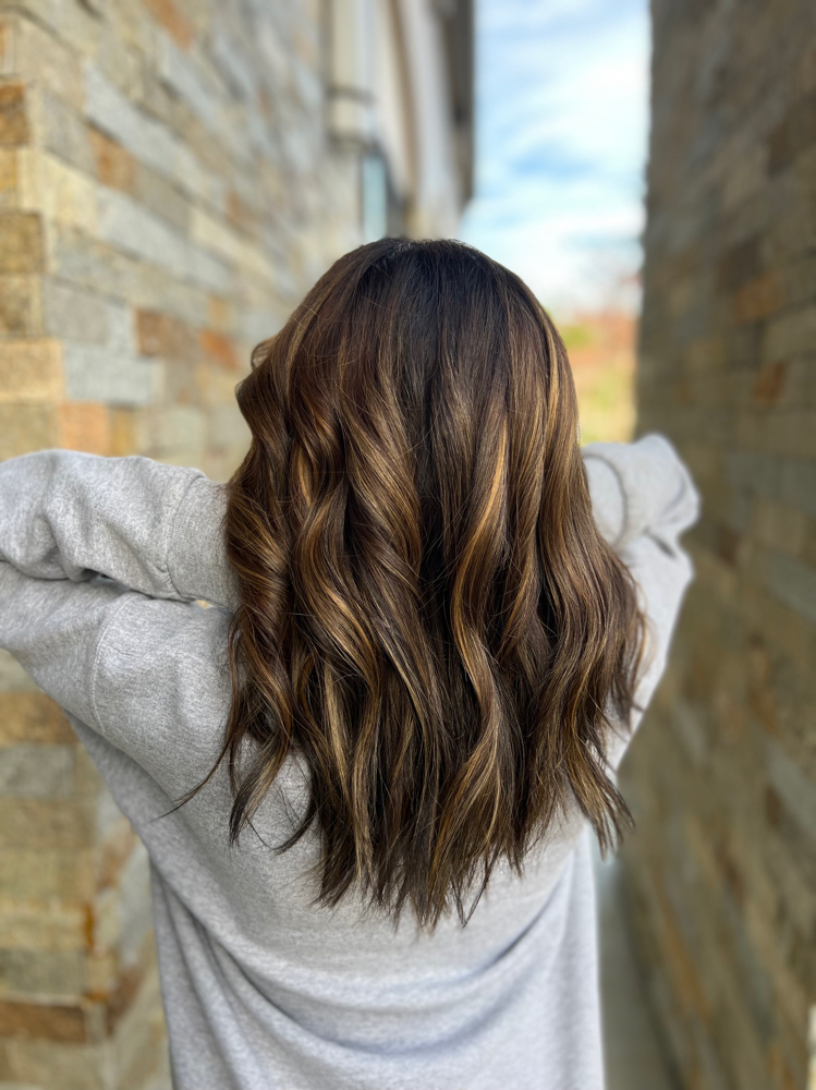 Lowlights + Blow-Dry