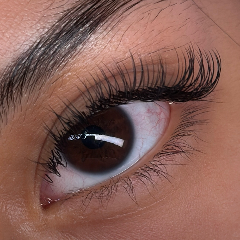 Classic Lash Extensions