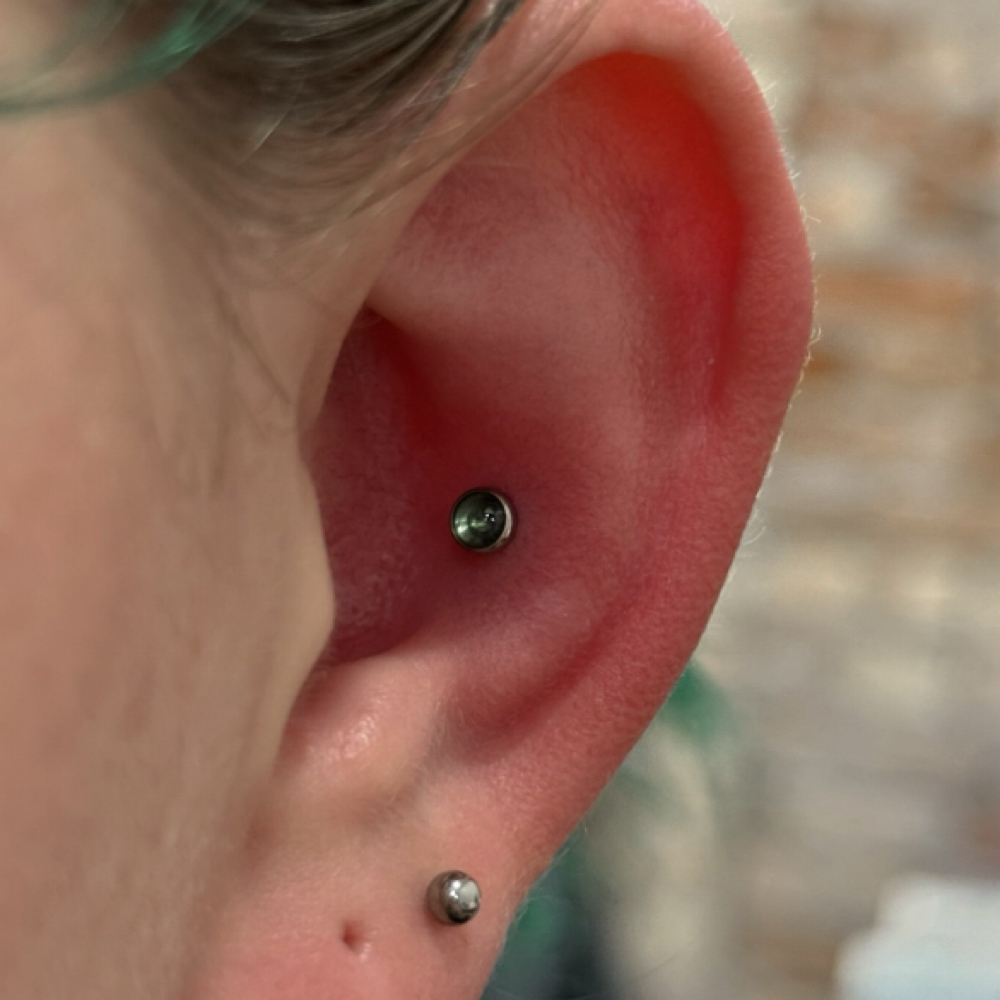 Conch Piercing at Monarch Piercing Studio in Logan, UT