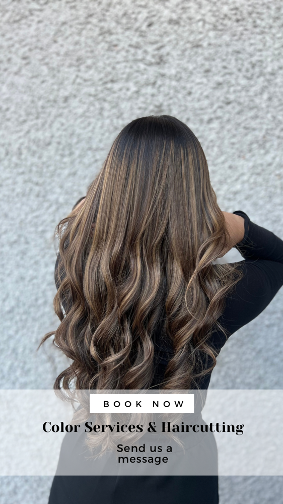 Balayage at XclusiveBeauty in River Rouge, MI