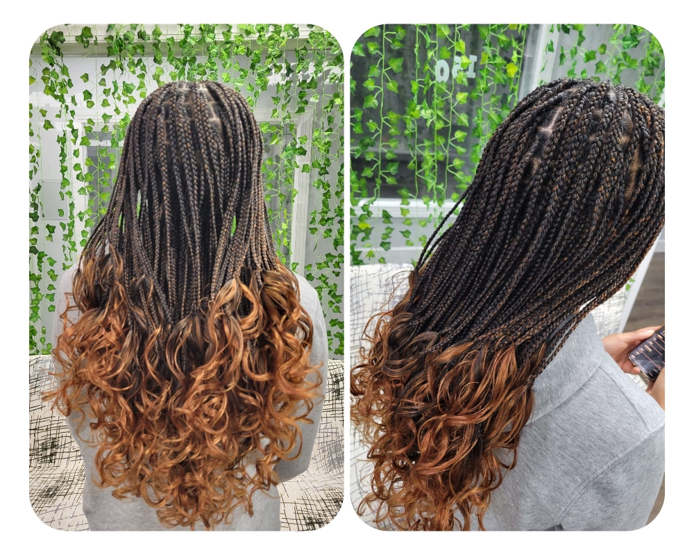 Frenche Curly (Bring Hair)
