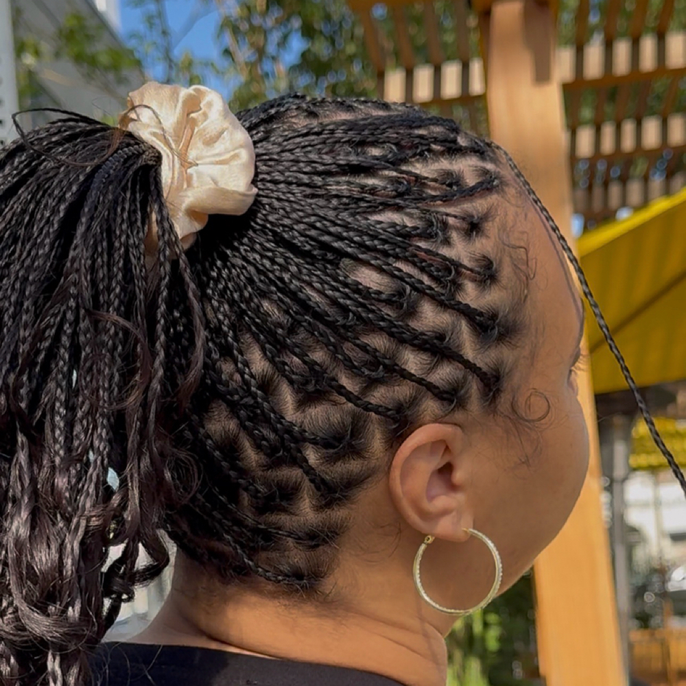 Natural Mini Braids / Twists at Jolie Beauty Bar in Los Angeles, CA