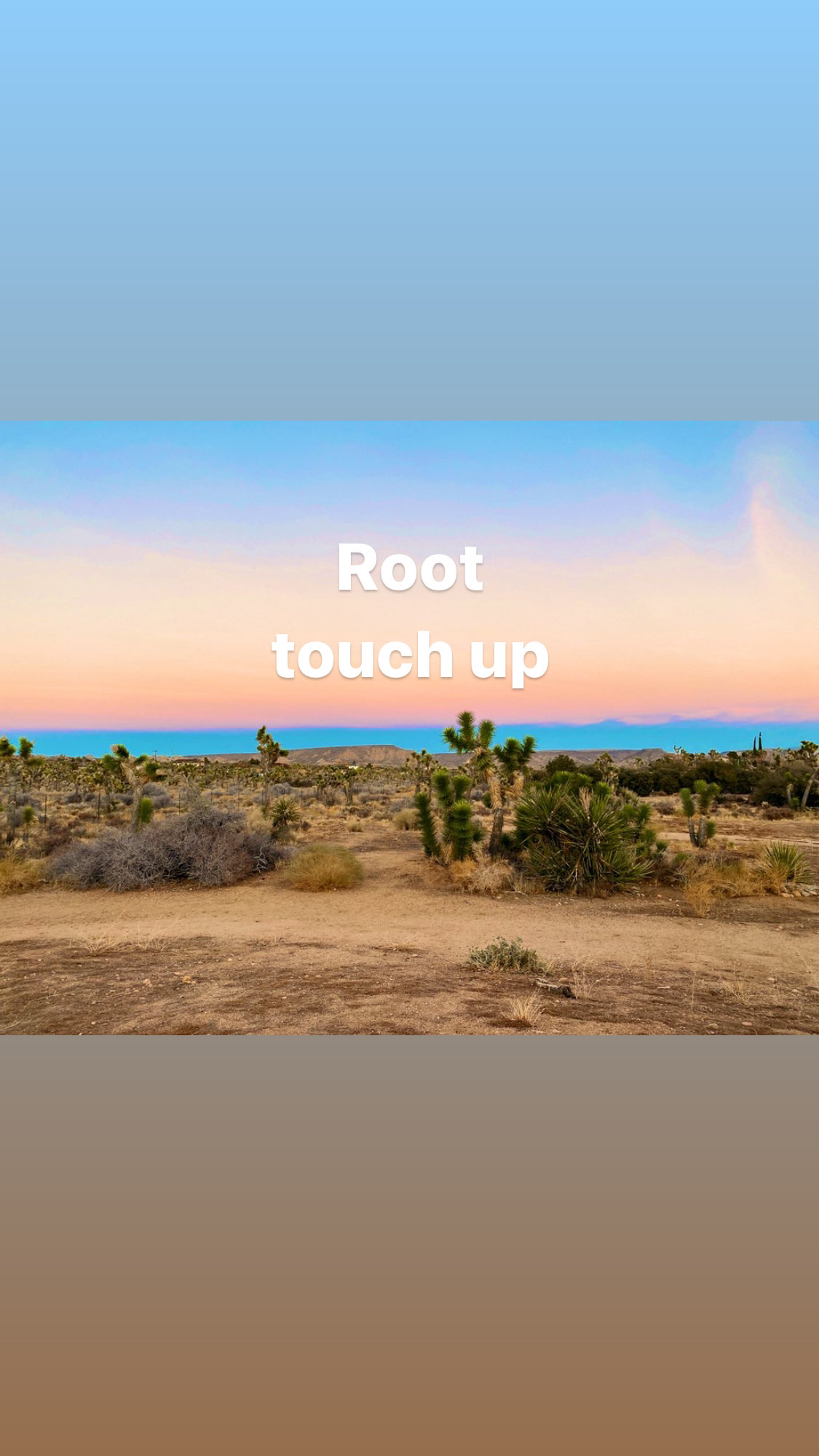 Root Touch Up