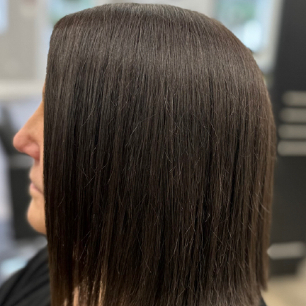 Root Color Only. No Cut Or Style at Michelle  Yacovone Hair Design in Pembroke, MA