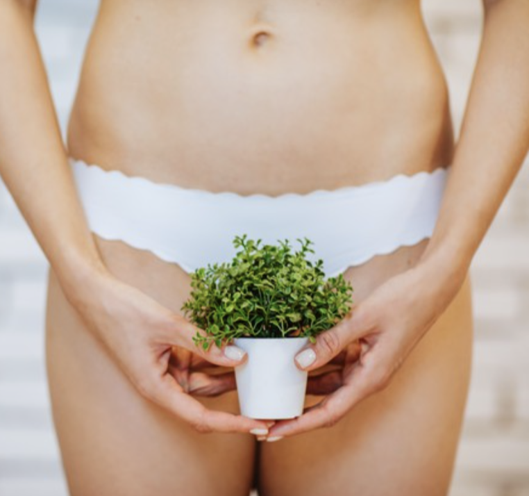Brand New Client Brazilian Wax-