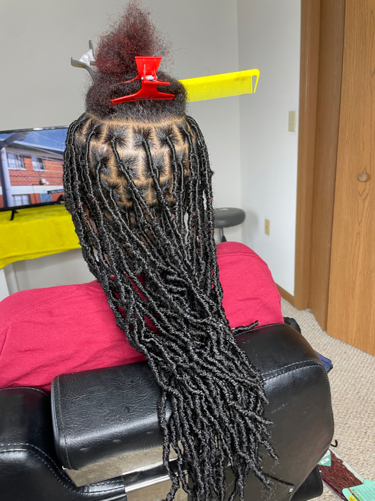 Mid-Back Soft Locs