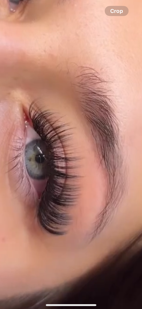 Hybrid Lash Full Set