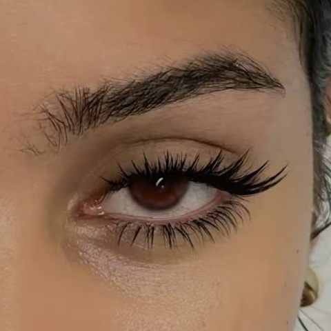 Bottom Lashes