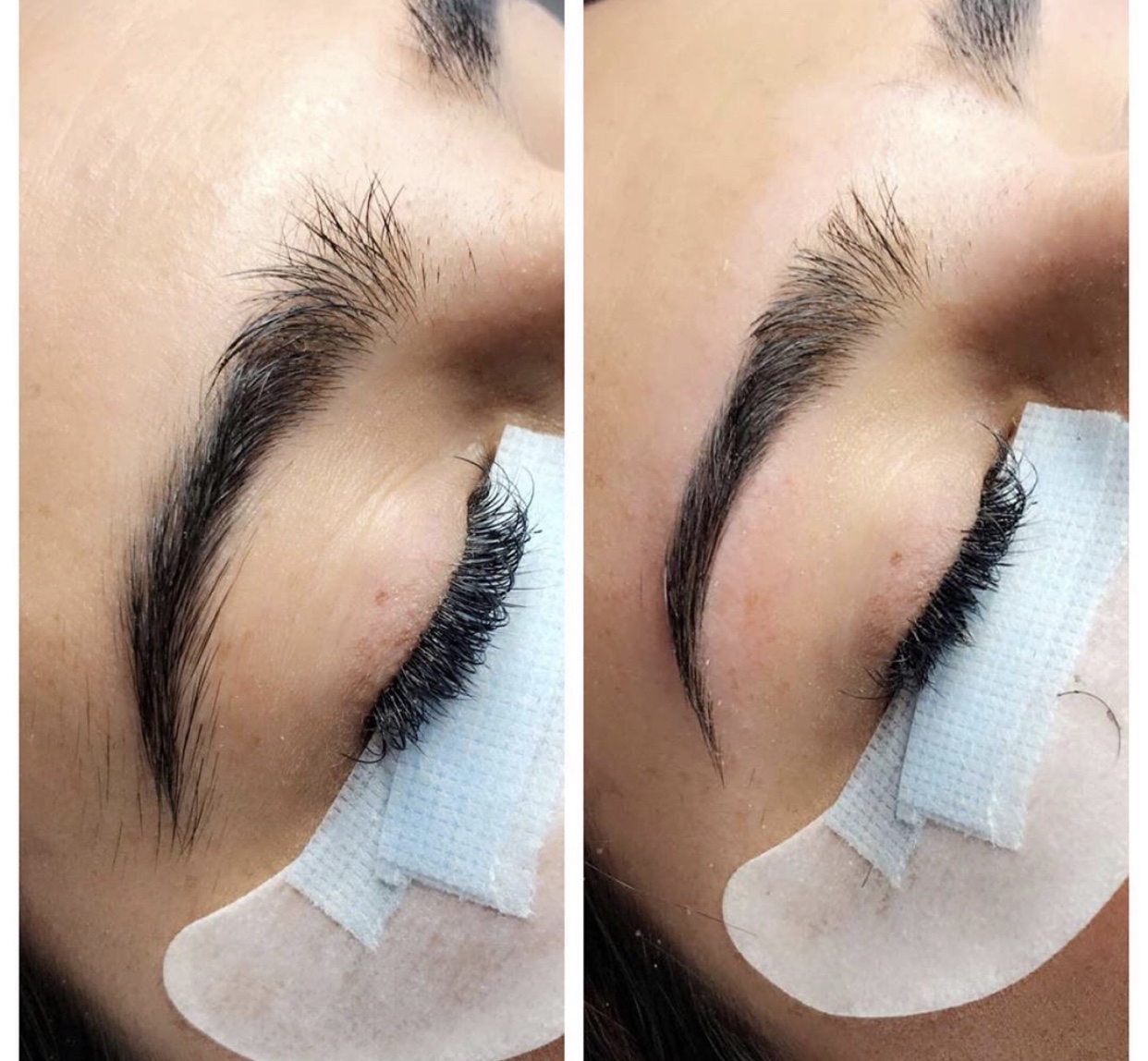 Brow Wax/Lamination/Tint at Lux Lash Lab in Eugene, OR