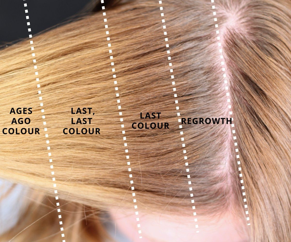 Color Correction