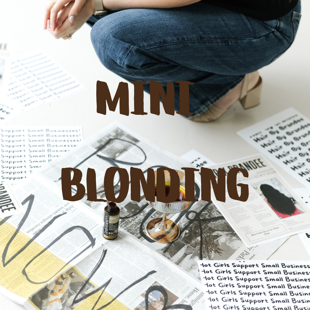 Mini Blonding at Hair By Brandee in Tx, TX