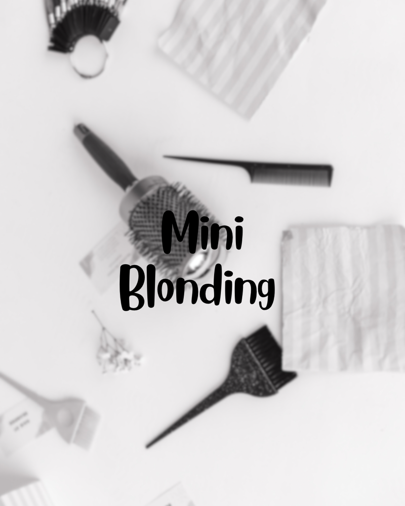 Mini Blonding