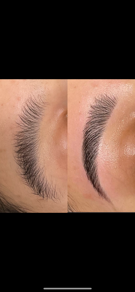 Brow Wax + Tint