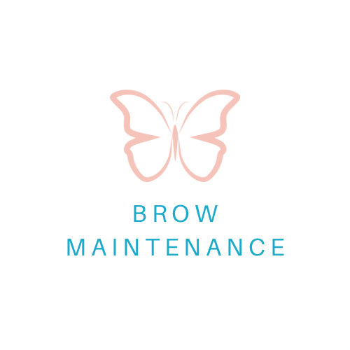 Brow Maintenance (Returning Client)