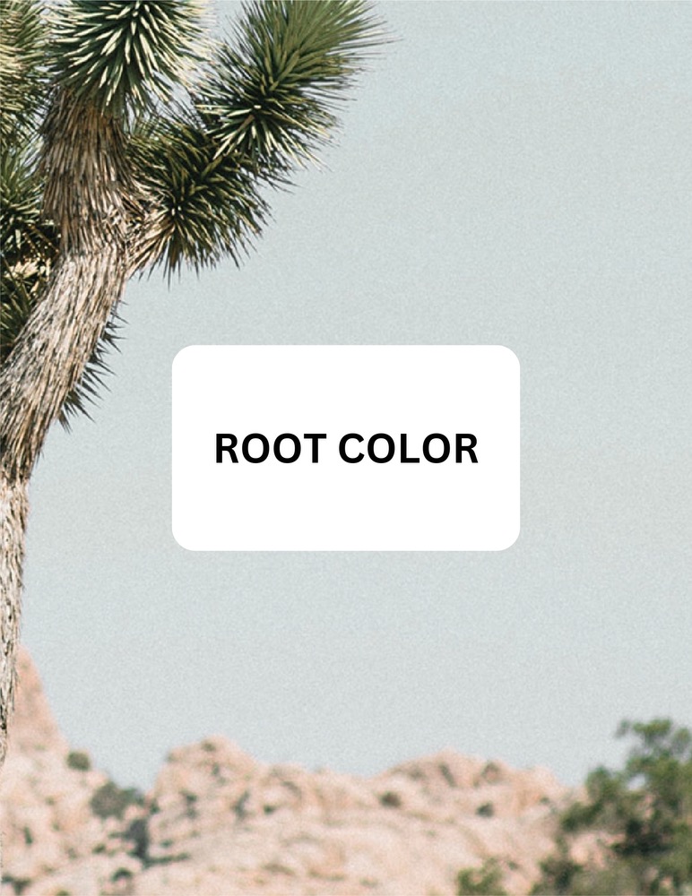 Root Touch Up & Haircut