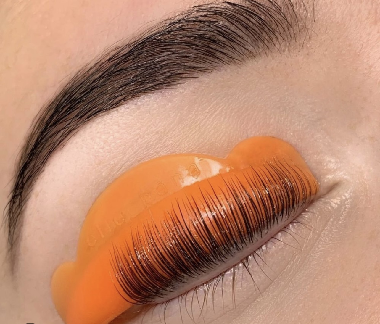 Elleebana Lash Lift w/tint