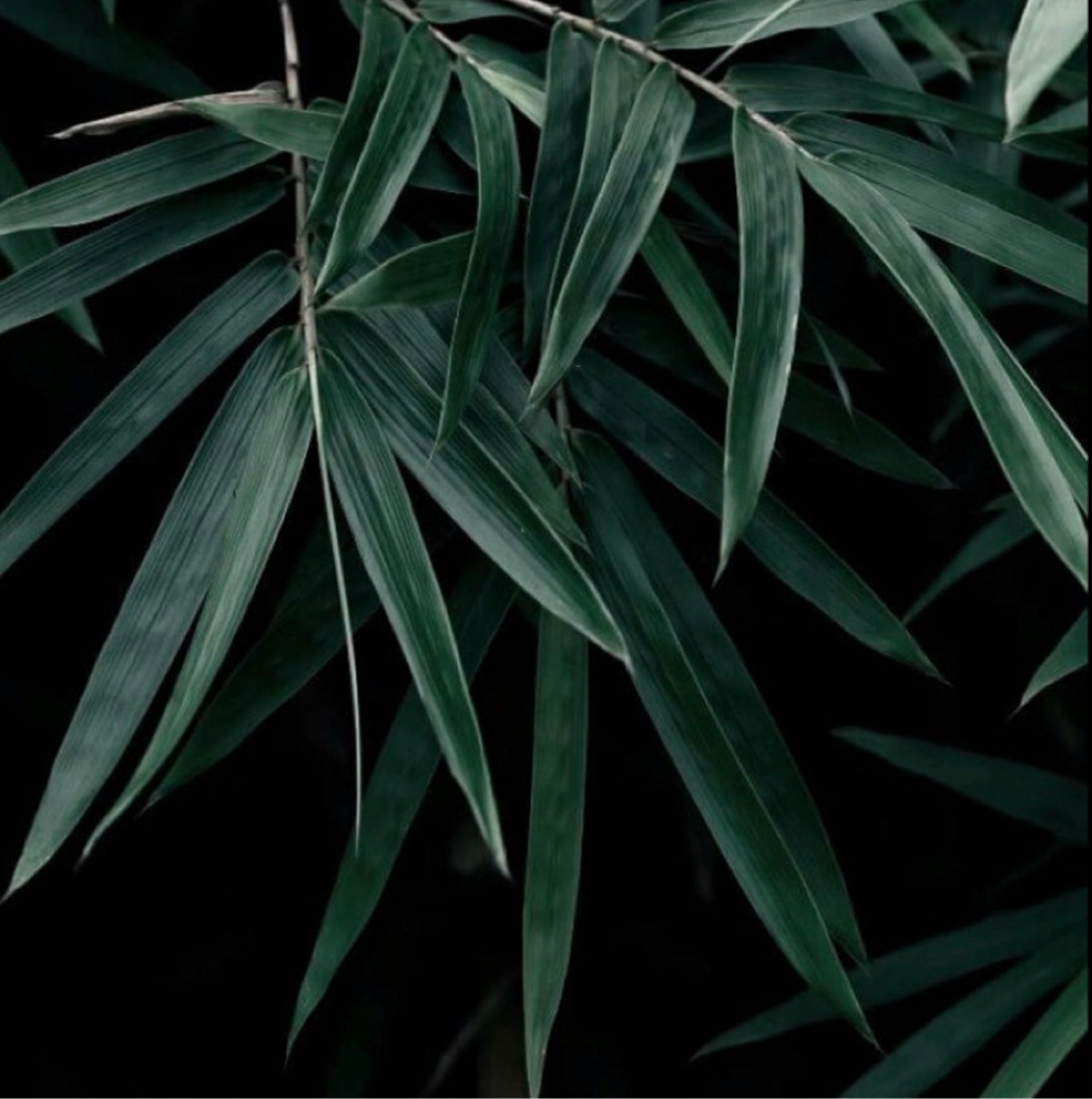 Hemp Therapy Pedicure at The Natural Nail Spot in Aurora, CO