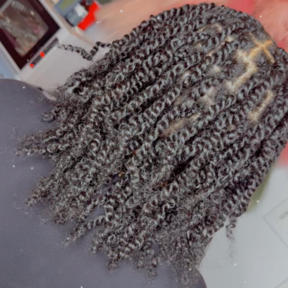 Two Strand Twist at Blushing Bloom Beauty Studio in Munster, IN