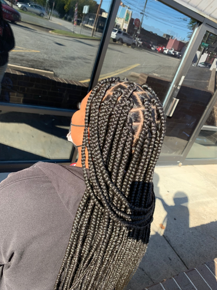 Box Braids ( Medium )