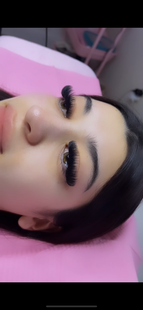 Volume Lashes