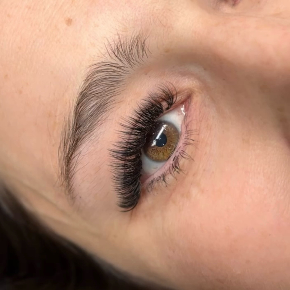 Light Volume Lashes