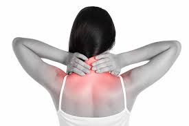 Neck and shoulder heat therapy