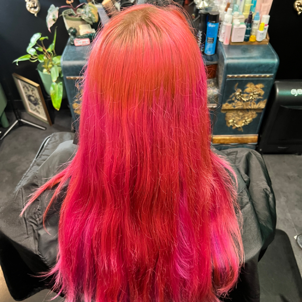 Root lift & All over color 6-8weeks