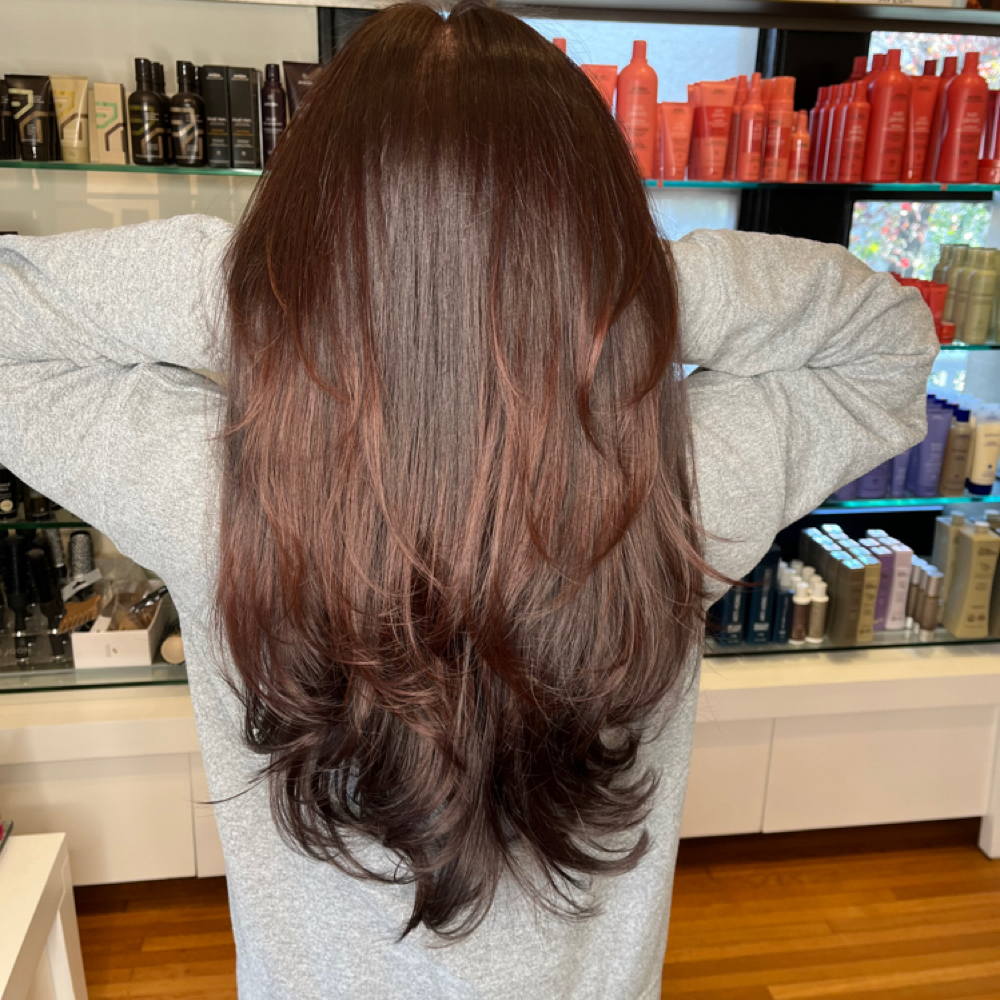 Brazillian Blowout at The Beaute Haus in Charlotte, NC