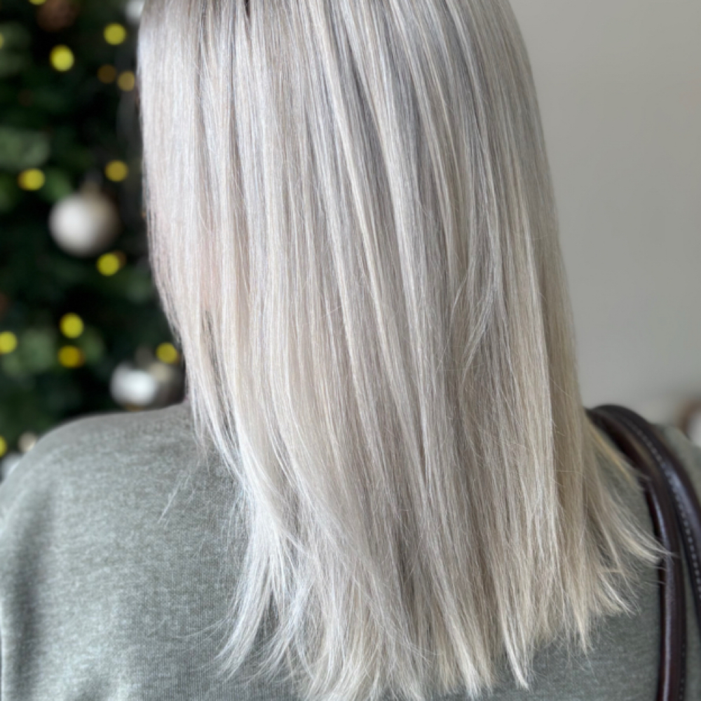 Bleach & Tone at Blooming Beauty by Kay in Charlotte, MI