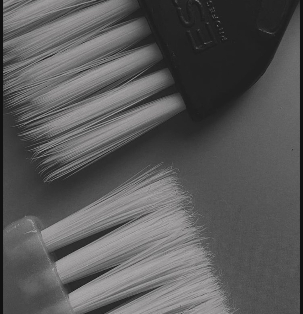 Root Touch Up
