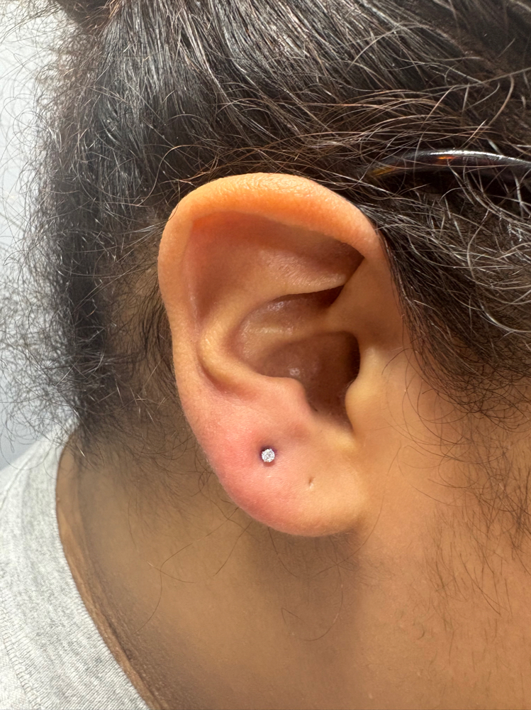 Piercing;$35 Cartilage, Lobes