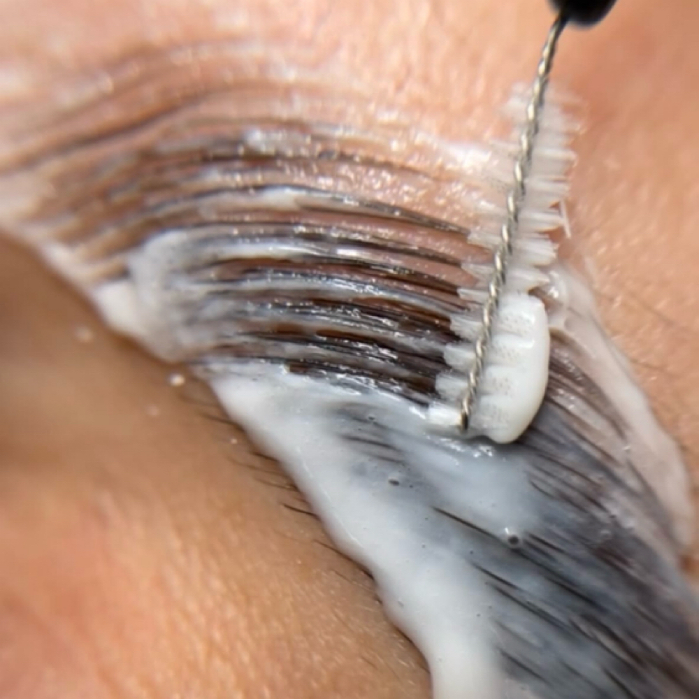 Brow Lamination, Wax & Tint at Olympus Beauty Studios in Tucson, AZ