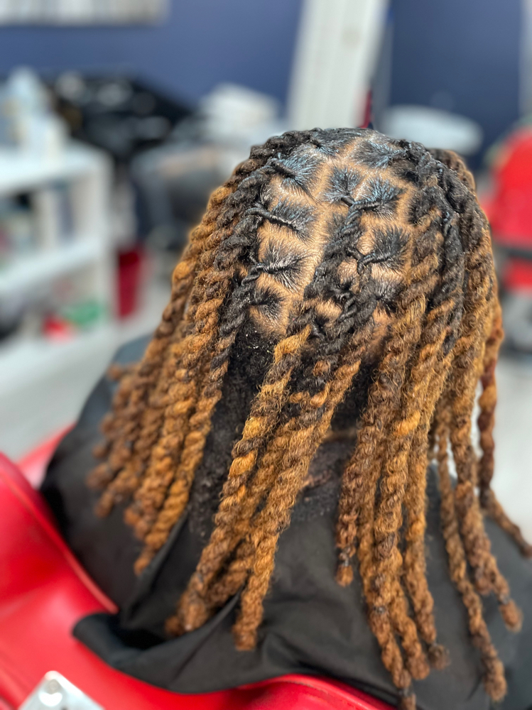 2strand Retwist (Shoulder)