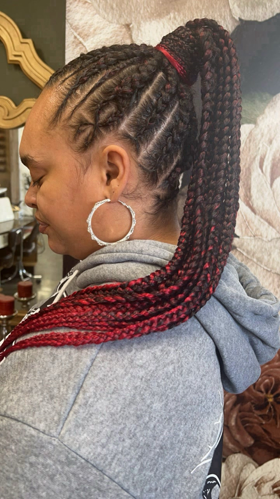 Braided Ponytail