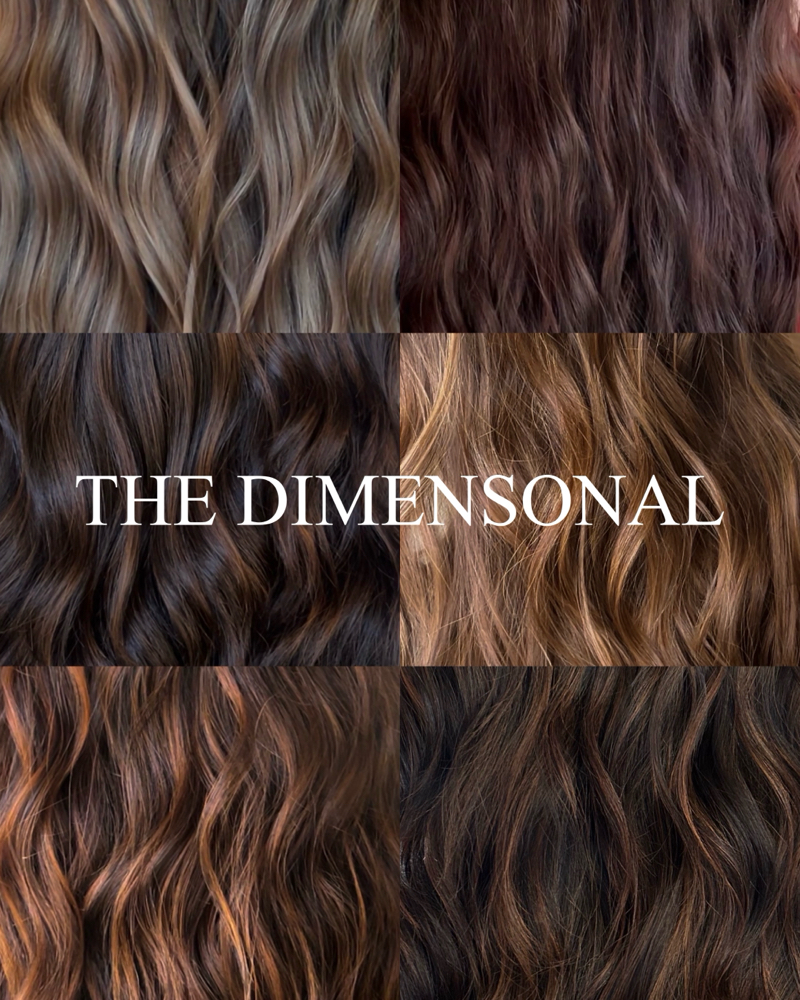 the dimensional