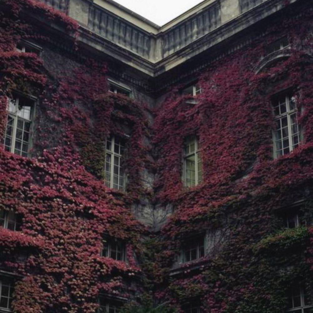 Extension Consulation at Moxie + Mane Hair Co. in Johnson City, TN